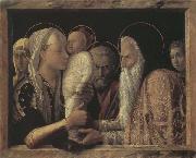 The Presentaion in the Temple Andrea Mantegna